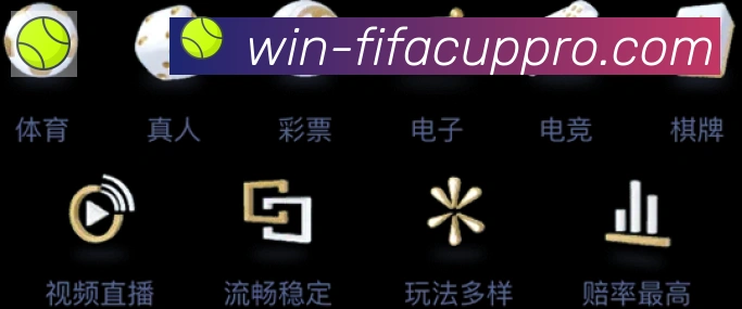 奖项证书